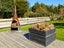 gallery view thumbnail