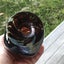 **MALTESE GLASS *** Hand Blown *** Original Glass Makers in the world *** Rare Carousel 13