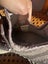 Adidas Yeezy boost 350 Carousel 4