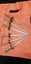 Loading Image 1 of 1
