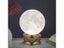 Best-Selling Creative Features Assembled Moonlight Lamp Toy Family Living Room Carousel 3