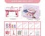 Knitting Machine - (NZ CLEARANCE) Carousel 6