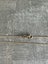 9ct gold curb chain Carousel 5