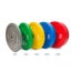 Bumper Weights 2 x 5kg NEW Carousel 3