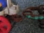 Loading Image 4 of 4