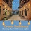 Shooting Star Festoon Lights - Store Front | Parties & Events | 7m - 10 Bulbs Carousel 1