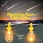 Shooting Star Festoon Lights - Store Front | Parties & Events | 7m - 10 Bulbs Carousel 2
