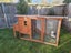 Mercury- a lovely mini lop bunny with big hutch Carousel 4