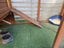 Mercury- a lovely mini lop bunny with big hutch Carousel 5