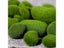10Pcs Simulation Moss Stone Artificial Moss Rocks Ball Fake Green Plant For Carousel 4