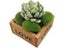 10Pcs Simulation Moss Stone Artificial Moss Rocks Ball Fake Green Plant For Carousel 5