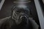 +++ QUALITY DOG PORTRAIT PRINT +++ Carousel 7