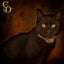 Shadow 18 wks old - Cat Care Rangiora Carousel 1