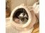 Deep Sleep Cat Bed Cartoon Pet Bed Foldable Removable Washable Pet Sleeping Bed Carousel 3