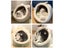 Deep Sleep Cat Bed Cartoon Pet Bed Foldable Removable Washable Pet Sleeping Bed Carousel 6