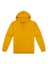 HSI Origin Hoodie – Mens Carousel 10
