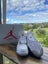 Jordan 4 White Oreo Carousel 3