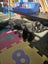 Kittens Carousel 3