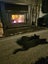 Kittens Carousel 1
