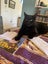 Affectionate 3.5 year old black cat free to a good home Carousel 6