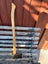 Loading Image 1 of 10