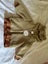New Toddler boy hooded jacket size O (6-12 months) Carousel 1