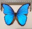 Loading Image 1 of 2