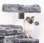 New Cat Tree Tower Carousel 3