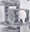 New Cat Tree Tower Carousel 4