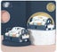Loading Image 2 of 4