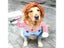 Funny Dog Clothes Dogs Cosplay Costume Halloween Comical Outfits Holding A Carousel 4