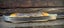 MINT & UNUSED MASSIVE / HUGE KA-BAR STAG FOLDER **WOW** Carousel 8