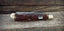 AWESOME U.S.A CAMILLUS SWORD-BRAND TRAPPER WITH BEAUTIFUL BONE HANDLES Carousel 3