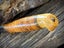 **WOW** MINT, UNUSED, STUNNING EXAMPLE. FINN PUUKKO KNIFE Carousel 9