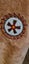 NATIVE AMERICAN JACKET Carousel 4