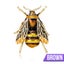 Buzzy Wuzzy Bumblebee Brooch - Honeybee, Bee, Honey, Yellow, Green, Wasp, Ena... Carousel 15