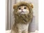Cat Costume Cute Lion Mane Cat Wig Hat Cosplay Clothes Cap Dress Up Puppy Carousel 5