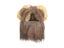 Cat Costume Cute Lion Mane Cat Wig Hat Cosplay Clothes Cap Dress Up Puppy Carousel 1