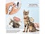 Cat Brush Dog Brush Carousel 6