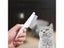 Cat Brush Dog Brush Carousel 5