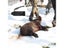 Utility Sled Deer Dragging Pull Sled Plastic Outdoor Deer Sled Carousel 1