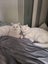 2 adorable cats looking for a good home Carousel 1