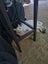2 adorable cats looking for a good home Carousel 6