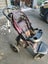 Neeva three wheeled stroller Carousel 5