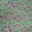 Gorgeous SANDERSON UK fabric- drapery weight-100% cotton Carousel 1