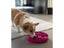 PTN NEW Dog Slow Feeder Sale Sale Carousel 6