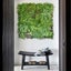 1 Sqm Artificial Plant Wall Grass Panels Vertical Garden Foliage Tile Fence 1X1m Carousel 4