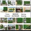 Hod Health & Home 1 Sqm Artificial Plant Wall Grass Panels Vertical Garden Folia Carousel 3