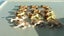 #6 Vintage Britains Etc Plastic Zoo Animals ~ Lions & Tigers Carousel 3