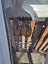Loading Image 2 of 2